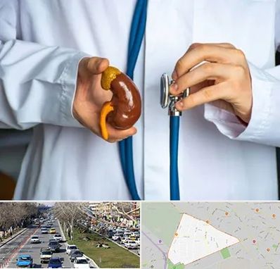 دکتر سرطان کلیه در احمدآباد مشهد 