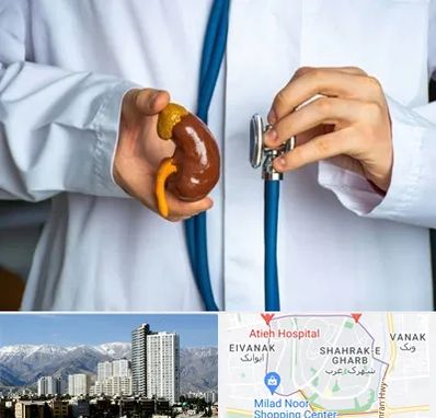 دکتر سرطان کلیه در شهرک غرب 