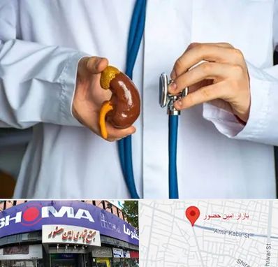 دکتر سرطان کلیه در امین حضور