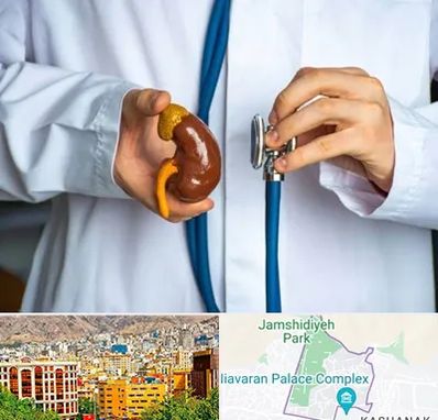 دکتر سرطان کلیه در نیاوران 