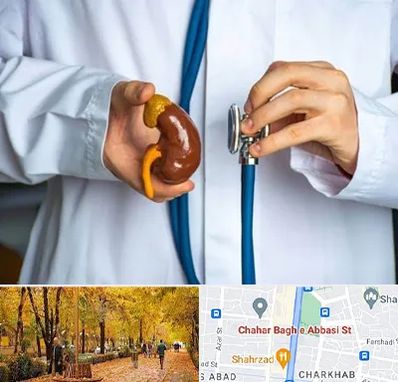 دکتر سرطان کلیه در چهارباغ اصفهان 