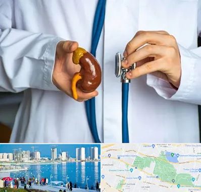 دکتر سرطان کلیه در چیتگر 