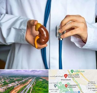 دکتر سرطان کلیه در قصرالدشت شیراز 