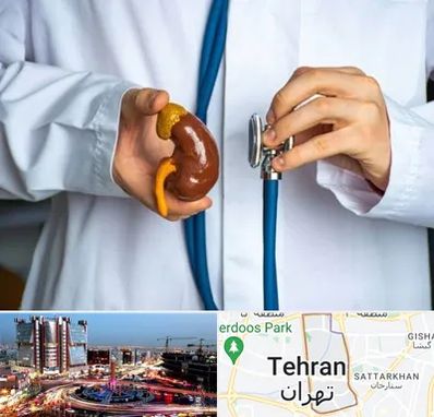 دکتر سرطان کلیه در صادقیه 