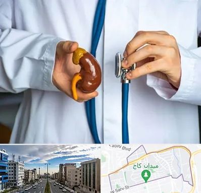 دکتر سرطان کلیه در سعادت آباد 