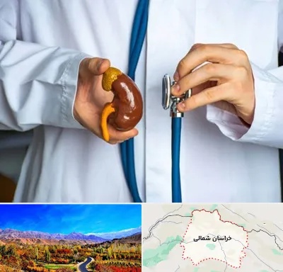 دکتر سرطان کلیه در خراسان شمالی