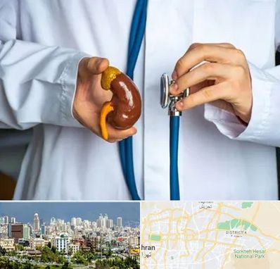 دکتر سرطان کلیه در شرق تهران 