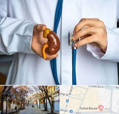 دکتر سرطان کلیه در تربیت تبریز