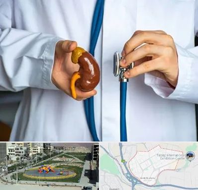 دکتر سرطان کلیه در مرزداران تبریز