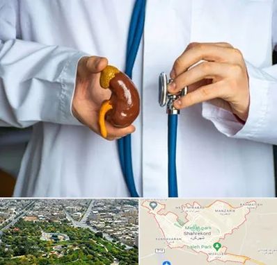 دکتر سرطان کلیه در شهرکرد