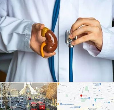 دکتر سرطان کلیه در خیابان آزادی 