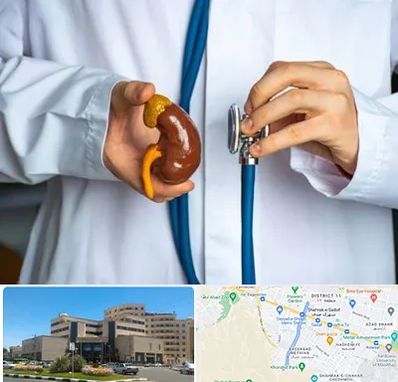 دکتر سرطان کلیه در صیاد شیرازی مشهد 