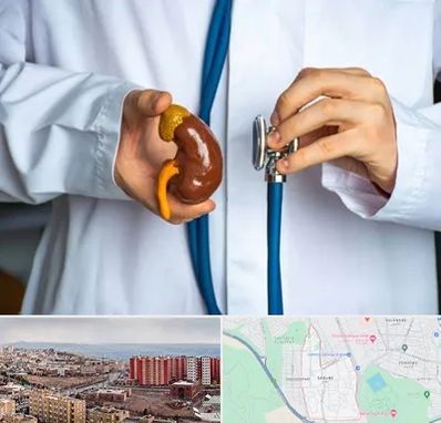 دکتر سرطان کلیه در سهند تبریز