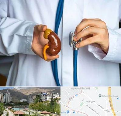 دکتر سرطان کلیه در شهر زیبا 