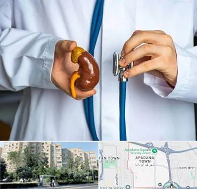 دکتر سرطان کلیه در آپادانا