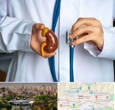 دکتر سرطان کلیه در منطقه 1 تهران 