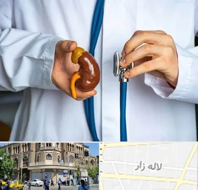 دکتر سرطان کلیه در لاله زار