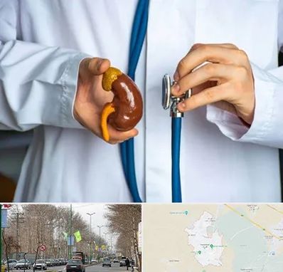 دکتر سرطان کلیه در نظرآباد کرج 