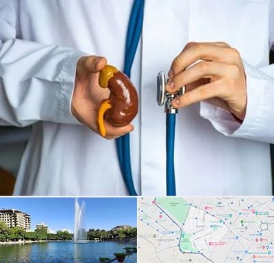 دکتر سرطان کلیه در کوهسنگی مشهد 