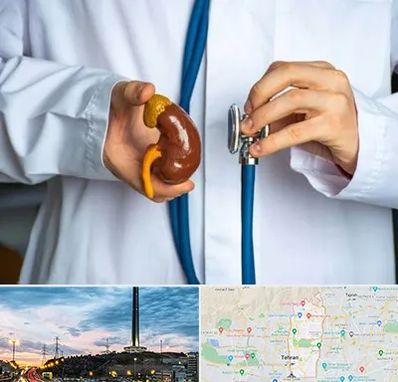 دکتر سرطان کلیه در منطقه 2 تهران 