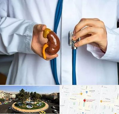 دکتر سرطان کلیه در هفت حوض 