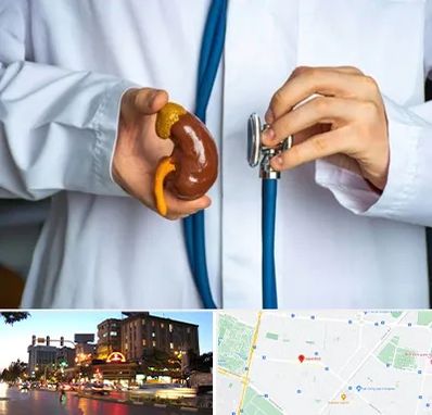 دکتر سرطان کلیه در بلوار سجاد مشهد 