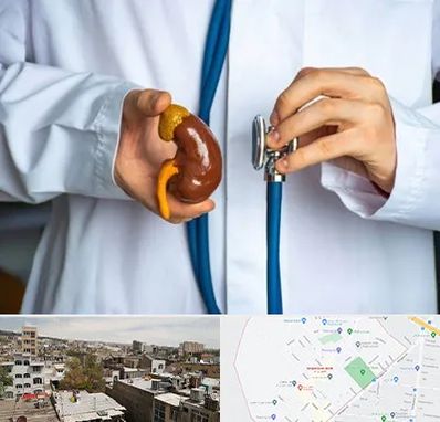 دکتر سرطان کلیه در شمیران نو 