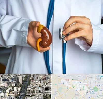 دکتر سرطان کلیه در منطقه 18 تهران 