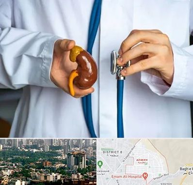 دکتر سرطان کلیه در عظیمیه کرج 