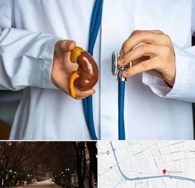 دکتر سرطان کلیه در ابوریحان تبریز