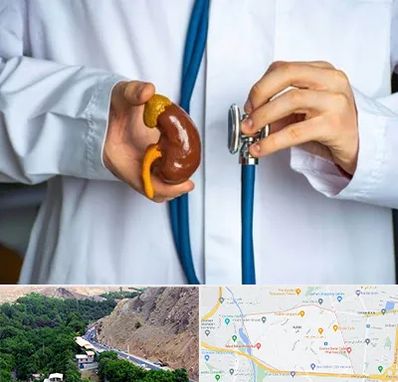 دکتر سرطان کلیه در کن 