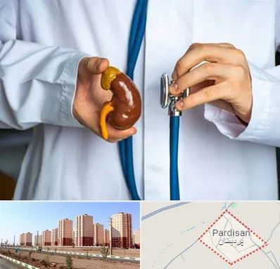دکتر سرطان کلیه در پردیسان قم