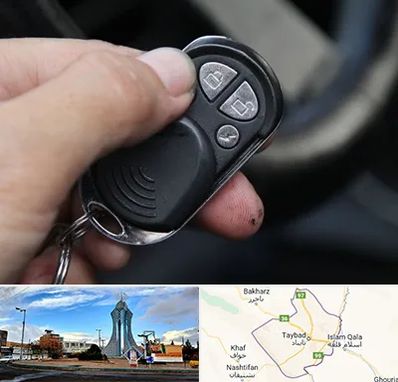 فروش دزدگیر خودرو در تایباد