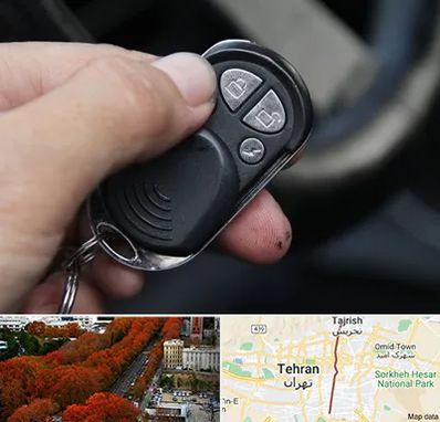 فروش دزدگیر خودرو در ولیعصر 