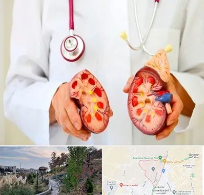 دکتر سنگ کلیه در باغستان کرج 
