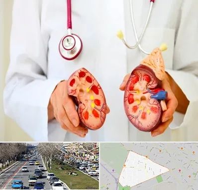 دکتر سنگ کلیه در احمدآباد مشهد 