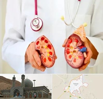 دکتر سنگ کلیه در شهرضا