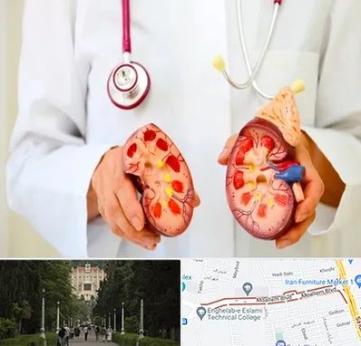 دکتر سنگ کلیه در بلوار معلم رشت 