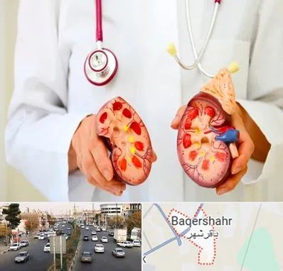 دکتر سنگ کلیه در باقرشهر