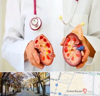 دکتر سنگ کلیه در تربیت تبریز