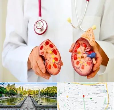 دکتر سنگ کلیه در سرسبز 