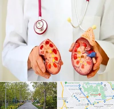 دکتر سنگ کلیه در قدوسی غربی شیراز 