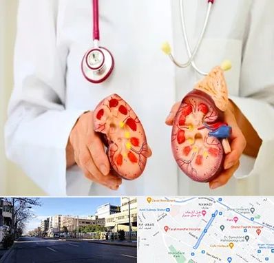 دکتر سنگ کلیه در خیابان ملاصدرا شیراز 