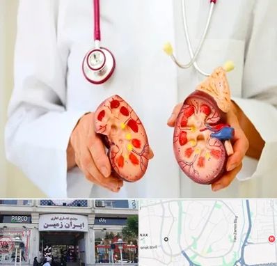 دکتر سنگ کلیه در ایران زمین