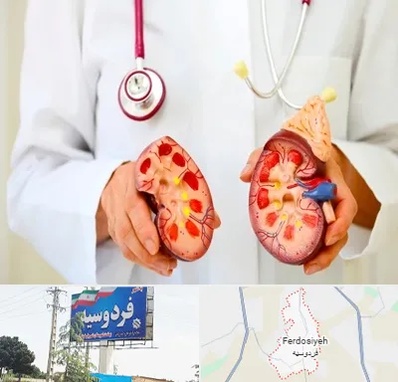 دکتر سنگ کلیه در فردوسیه شهریار