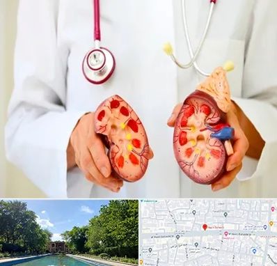 دکتر سنگ کلیه در هشت بهشت اصفهان 