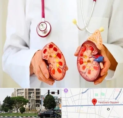 دکتر سنگ کلیه در میدان فردوسی تهران
