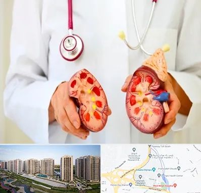 دکتر سنگ کلیه در المپیک 