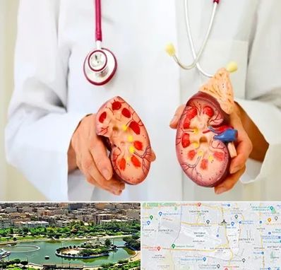 دکتر سنگ کلیه در منطقه 9 تهران 