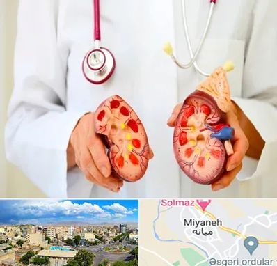 دکتر سنگ کلیه در میانه